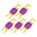 Hihaha ミニANLヒューズ100A / 車両用オーディオCDヒューズ / 耐久性 / 5個セット 金色 紫(2)