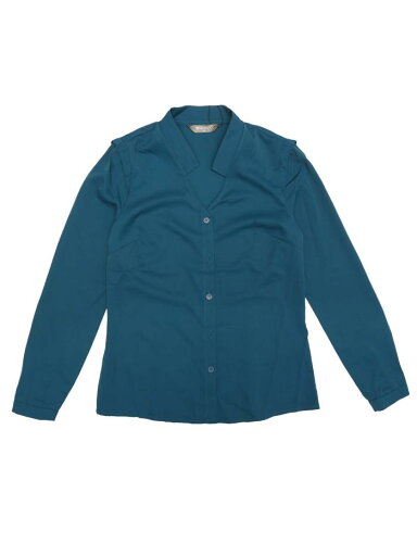 Allegra K シフォンブラウス シャツ Vネック ワーク オフィス ボタンアップ エレガント レディース ピーコックブルー S Allegra K シフォンブラウス シャツ Vネック ワーク オフィス ボタンアップ エレガント レディース ピーコックブルー S