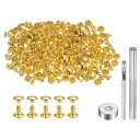 uxcell 200セット レザーリベット6 x 6mm 金属製のダブルキャップリベットスナップスタッズファスナーと3個の取り付けツール レザークラフトDIY修...