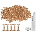 uxcell 100セット レザーリベット 12 x 8mm メタルダブルキャップリベットスナップスタッドファスナーと3個の設置ツール レザークラフトDIY修理装飾用 ライト金トーン