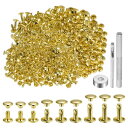 uxcell 100セットのレザーリベット 3サイズの金属製ダブルキャップリベットスナップスタッズファスナーと3個の取り付けツール レザークラフトDIY修理装飾...