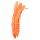 PATIKIL 10-12"の鶏の羽 50パックバルク天然羽 工芸品カーニバル手仕事衣類コスチューム ウェディングパーティースタイル1 オレンジ