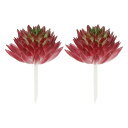 PATIKIL ミニ人工多肉植物 2パック鉢なしフェイク多肉植物ピック 家の風景装飾用フェイク多肉植物 バーガンディ緑