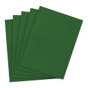 PATIKIL 12