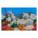 VOCOSTE 水族館の背景ポスター 水族館 水槽の背景装飾ステッカー 両面 PVC 42×30cm