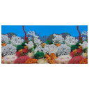 VOCOSTE 水族館の背景ポスター 水族館 水槽の背景装飾ステッカー 両面 PVC 62×30cm