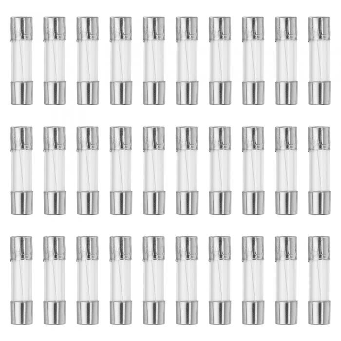 X AUTOHAUX 30個入り 6A クイックブローグラスチューブヒューズ 250V 5x20mm 0.2x0.79インチ 車用ガラ..