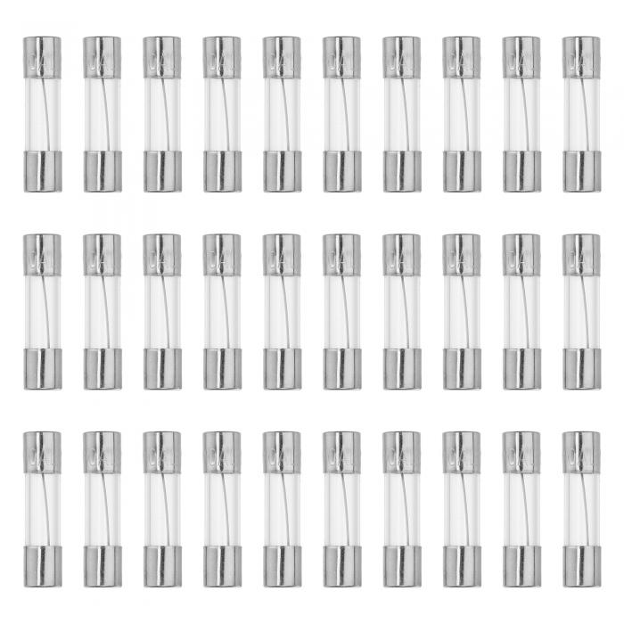 X AUTOHAUX 30個入り 10A クイックブローグラスチューブヒューズ 250V 5x20mm 0.2x0.79インチ 車用ガラスチューブヒューズ