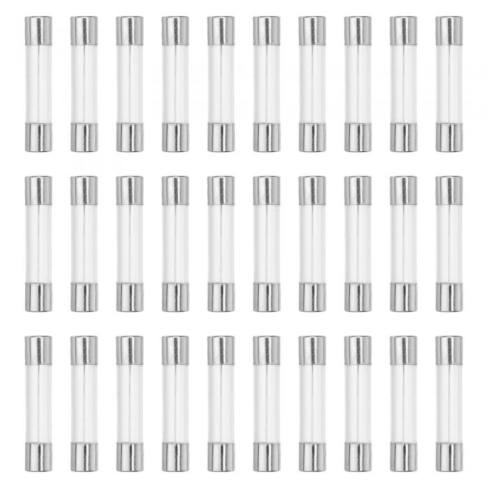 X AUTOHAUX 30個入り 10A クイックブローグラスチューブヒューズ 250V 6x30mm 0.24x1.18インチ 車用ガラスチューブヒューズ