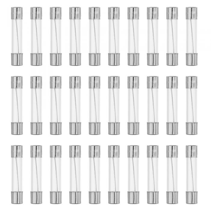 X AUTOHAUX 30個入り 20A クイックブローグラスチューブヒューズ 250V 6x30mm 0.24x1.18インチ 車用ガラスチューブヒューズ