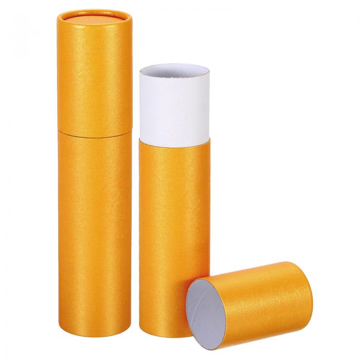 PATIKIL 230 x 50mm ポスターチューブ 2個 写真保存チューブ ポータブル郵送チューブ 書道画管 ラウンドキャリングケース ペーパーアートマップ...