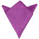 Allegra K ポケットチーフ 結婚式 メンズ ポケットチーフ 無地 ビジネス パーティー プレゼント おしゃれ 30cm×30cm