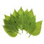 PATIKIL 9 x 5 cm 人工緑の葉 30個入り バルク緑の葉フェイクヒマワリの葉 フェイク葉 ウェディングブーケ花輪装飾用
