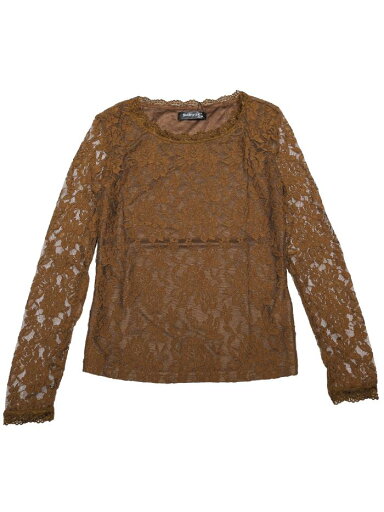 Allegra K レース トップス ブラウス 花柄 刺繍 長袖 シースルー 丸首 春 レディース ブラウン M Allegra K レース トップス ブラウス 花柄 刺繍 長袖 シースルー 丸首 春 レディース ブラウン M