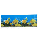 VOCOSTE 水槽の背景ポスター 水族館の背景装飾ステッカー 両面 30×82cm