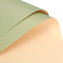 uxcell 両面カラー フラワー包装紙 フラワーラッピングペーパー イエロー-グリーン+シャンパン色 58cm x 58cm 防水 フラワーショップ 花束用品...