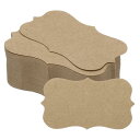 PATIKIL 50 x 90 mm ブランクペーパー名刺 100個 小型インデックス フラッシュ カード 言葉メッセージノートカード ミニ紙タグ レース DI...