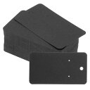 PATIKIL 50 x 90 mm ブランクペーパー名刺 100個 スモールインデックスカード フラッシュカード メッセージノートカード ミニタグ 穴付き D...