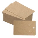 PATIKIL 60 x 90 mm ブランクペーパー名刺 100個 スモールインデックスカード フラッシュカード メッセージノートカード ミニタグ 穴付き ス...
