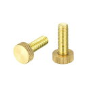 uxcell ローレットつまみねじ M10x30 mm フラットブラスボルト グリップノブファスナー PC 電子 機械用 2個