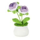 PATIKIL クロシェフラワー 鉢植え 2つ ヘッドローズフラワー 手作り ニットミニ鉢植え バレンタインギフト 家庭やオフィス テーブル 装飾に最適 グラデ...