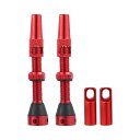 X AUTOHAUX バイクチューブレスバルブステム バルブコアリムーバーツールキットとバルブステムキャップ付き マウンテンバイク用 ユニバーサル アルミニウム...