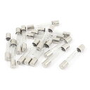 uxcell ヒューズチューブ 700MA 0.75A 5KV 保護 アキシャルヒューズ管 電子レンジ用 6x40 mm 15個