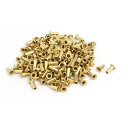 uxcell ナットリベット M2.5x6mm ゴールドトーン 真ちゅうメッキ金属材質 200個入リ
