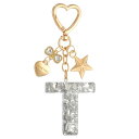 PATIKIL かわいいイニシャルレターキーチェーン レターT 女性用ブリングラブバタフライスター バッグバックパック財布車のキーカップアクセサリーシルバー