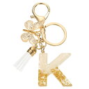 uxcell イニシャルレターキーチェーン レジン製かわいい蝶のタッセルペンダントアクセサリー 女性用アルファベットキーリング 財布 ハンドバッグ バックパック用 金-K