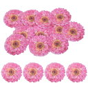 uxcell 25パックの人工花型切り抜き感謝祭の日結婚秋装飾ローズレッドグルー付き3.1x3.1インチ結婚感謝祭パーティークラフト用