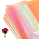 PATIKIL 22.8 x 22.8インチ 花包装用紙 10枚入り ピカピカした両面プラスチック 花束パッケージ防水フローリスト用品DIYクラフトギフト包装ギ...