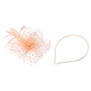 PATIKIL ファシネーターハットクリップセット ヘアバンドティーパーティーフェイスベールハットヴィンテージヘッドウェアウィメンズフェザー メッシュフォーウィメン シャンパン