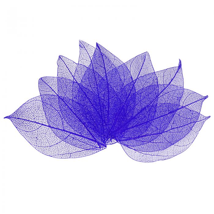 M METERXITY 100パックのスケルトンリーフ、天然ゴムの木の乾燥押し葉、レジン/DIYクラフトカード/スク..