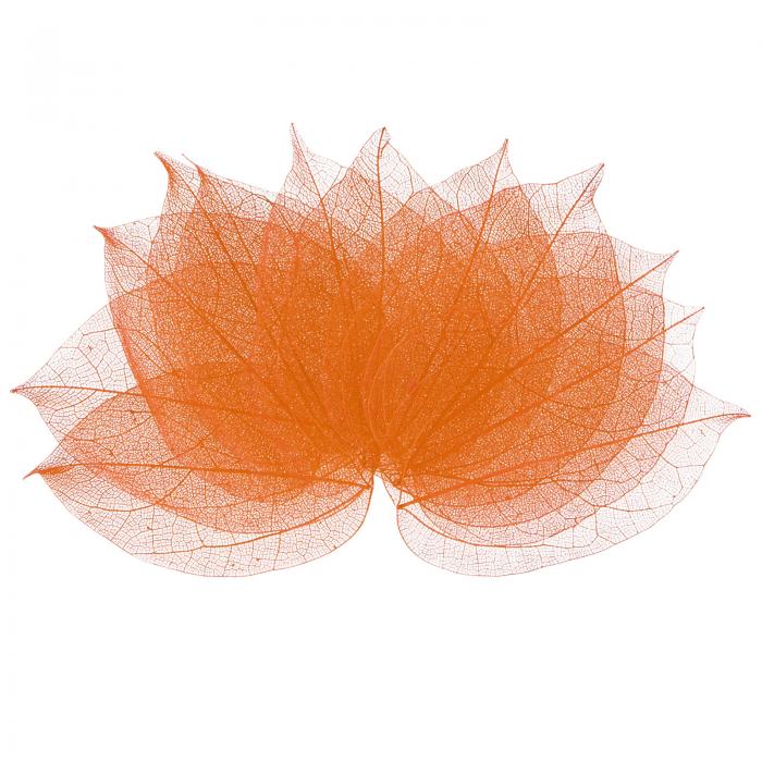 M METERXITY 100パックのスケルトンリーフ、天然ゴムツリーの乾燥押し葉、レジン/ DIYクラフトカード/スクラップブック/ウェディング用、小さな葉の装飾[8-9cm、コーヒー]