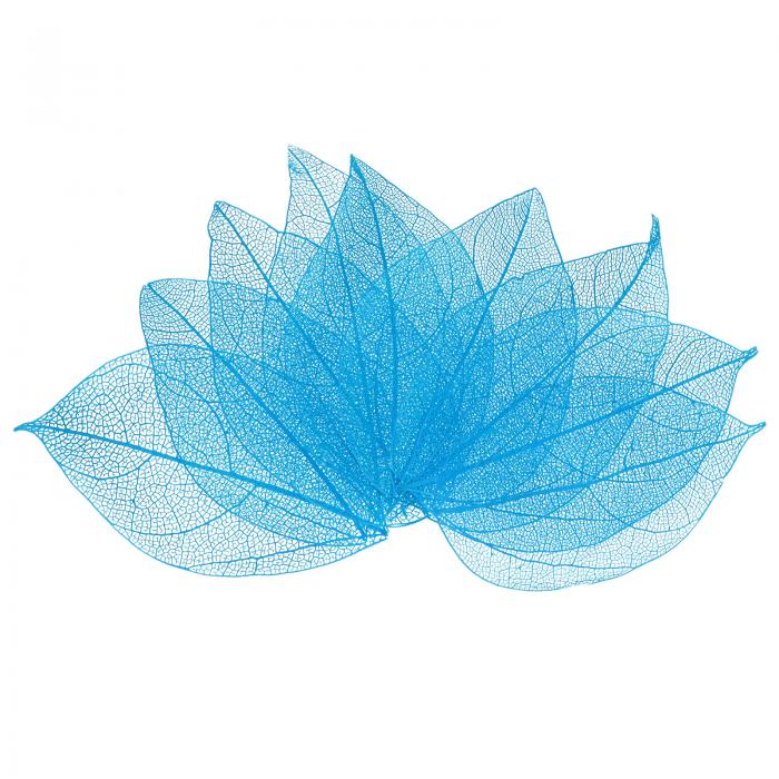 M METERXITY 100パックのスケルトンリーフ、天然ゴムの木の乾燥押し葉、樹脂/ DIYクラフトカード/スク..