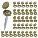 M METERXITY 100パック プラスチック製ヒンジ付きねじカバーキャップ 5mm シャッタースクリューとキャップ 折りたたみスナップワッシャーカバー ワッシャーフリップ保護カバーM3 M4 M5スクリューヘッド【ブロンズ】