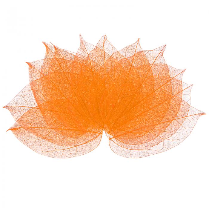 M METERXITY 100パックのスケルトンリーフ、天然ゴムツリーの乾燥押し葉、レジン/ DIYクラフトカード/..