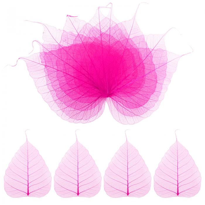 M METERXITY 100パックのスケルトンリーフ、5.1"の天然乾燥押し葉ボディスケルトンリーフ、レジン/DIY..