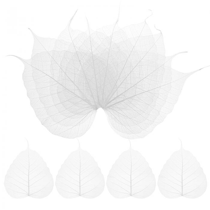 M METERXITY 100パックのスケルトンリーフ、5.1"の天然乾燥押し葉ボディースケルトンリーフ、レジン/DI..