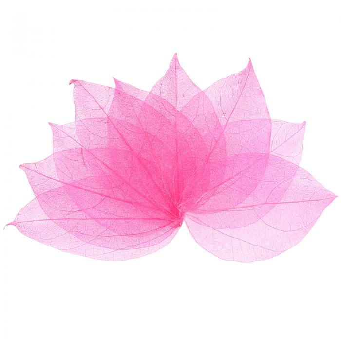 M METERXITY 100パックのスケルトンリーフ、天然ゴムの木の乾燥押し葉、レジン/DIYクラフトカード/スク..