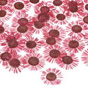 M METERXITY 60個入り 樹脂用乾燥押し花 本物 自然な大量 ドライフラワー クラフト/ DIY宝石/石鹸作り/スクラ ップブッキング/手作りキャンド...