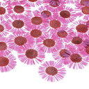M METERXITY 60個入り 樹脂用乾燥押し花 本物 自然な大量 乾燥花 クラフト/ DIY宝石/石鹸作り/スクラ ップブッキング/手作りキャンドル/エポ...