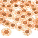 M METERXITY 60個入り 樹脂用乾燥押し花 本物 自然な大量 乾燥花 クラフト/ DIY宝石/石鹸作り/スクラ ップブッキング/手作りキャンドル/エポ...