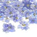 M METERXITY 48個入り 樹脂用乾燥押し花 本物 自然な大量 乾燥花 クラフト/ DIY宝石/石鹸作り/スクラ ップブッキング/キャンドル/エポキシ樹脂用品/フォトフレーム【パープル】