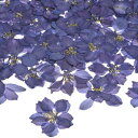 M METERXITY 24個入り 樹脂用乾燥押し花 本物 自然な大量 乾燥花 クラフト/ DIY宝石/石鹸作り/スクラ ップブッキング/キャンドル/エポキシ樹脂用品/フォトフレーム【ダークパープル】