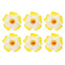 PATIKIL ハワイアンハイビスカスの花、6個入りの人工花ヘアクリップDIYフォームハイビスカスの花、テーブルトップ装飾用パーティーフェイバーサプライ、ホワイ...