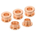 PATIKIL 5mm(1/5インチ) ソリッド真鍮製ホールアイレット 4個 フラット自己裏打ちグロメットとワッシャー 靴 衣類 クラフト バッグ レザークラフト用 ローズ金色