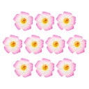 PATIKIL ハワイアンハイビスカスの花、10個入りの人工花ヘアクリップDIYフォームハイビスカスの花、テーブルトップ装飾パーティーフェイバー用品、ホワイト/...