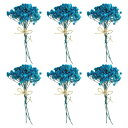 PATIKIL ミニ乾燥花束 6個 ベビーズブレス自然 野生 花束 ステムデコボホ花植物花クラフトDIYフォトプロップギフトウェディングデコレーション ブルー